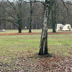 24-12-08 12-42-46 1778